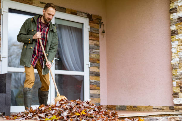 Best Junk Removal Near Me  in Burley, WA